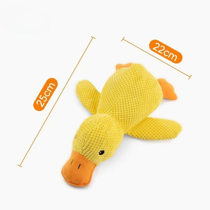 Chew & Squeak Toy — For Aggressive Chewers