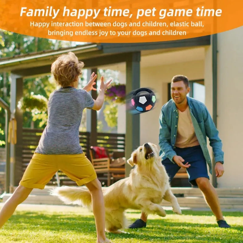 Dog Toys Can Be Held with Football