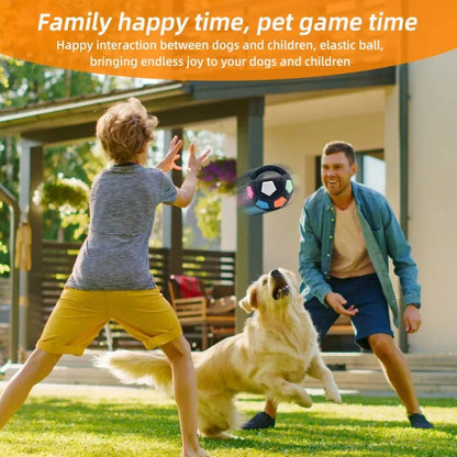 Dog Toys Can Be Held with Football