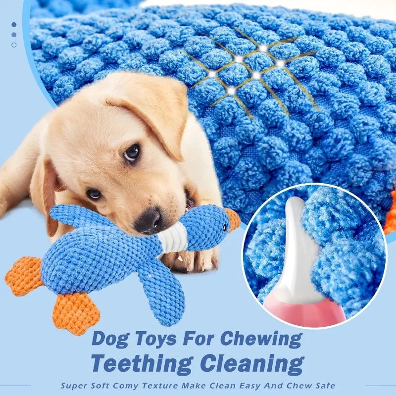 Chew & Squeak Toy — For Aggressive Chewers