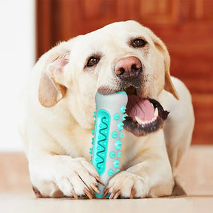 Dogs