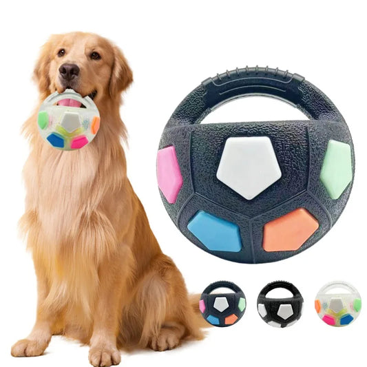 Dog Toys Can Be Held with Football