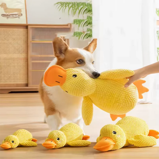 Dog sleeping with a dog hug duck toys to relieve boredom of