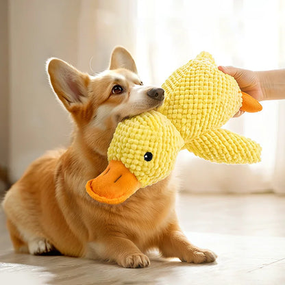 Chew & Squeak Toy — For Aggressive Chewers