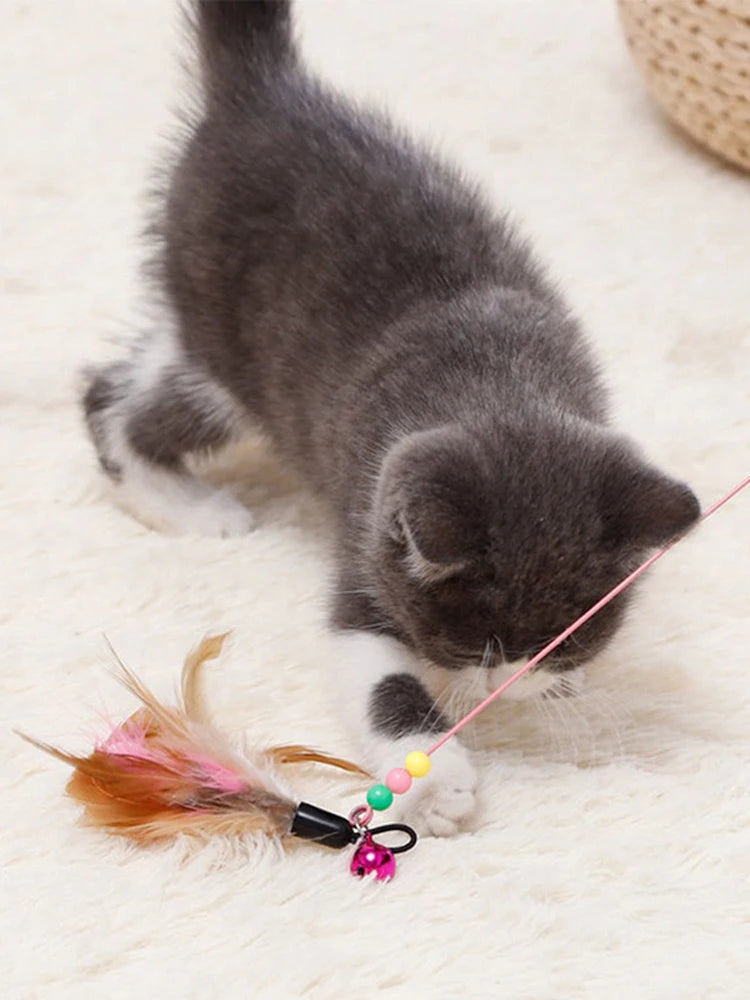 Cat Teaser Wand — Bell & Feather Suction Cup Toy