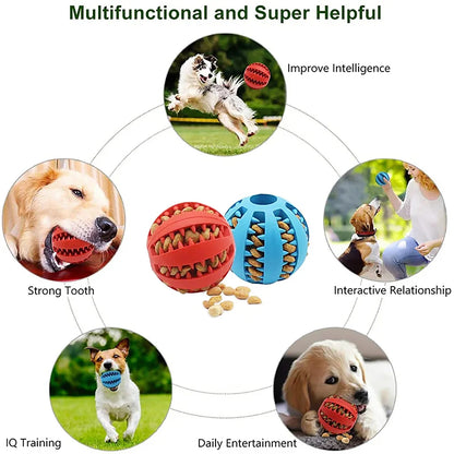 Dog Toy Ball, Nontoxic Bite Resistant Toy Ball