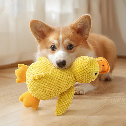Chew & Squeak Toy — For Aggressive Chewers
