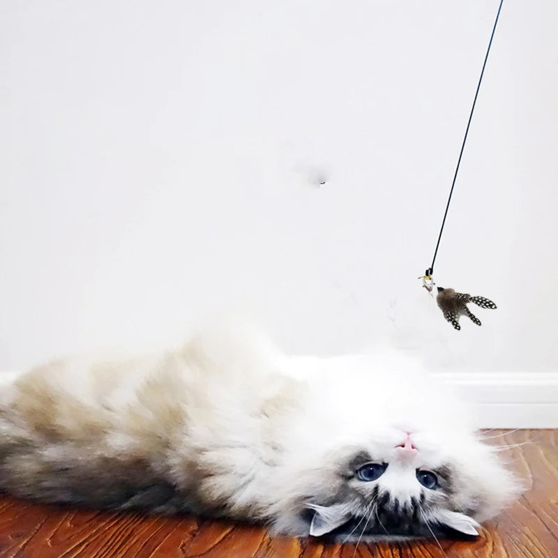 Cat Teaser Wand — Bell & Feather Suction Cup Toy