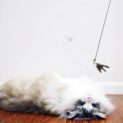 Cat Teaser Wand — Bell & Feather Suction Cup Toy